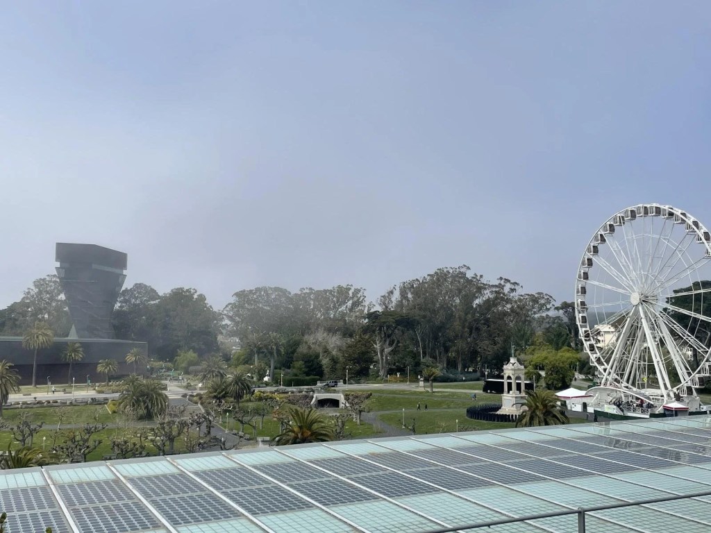 APEC 2023- An Impactful Moment for the&nbsp;Environment